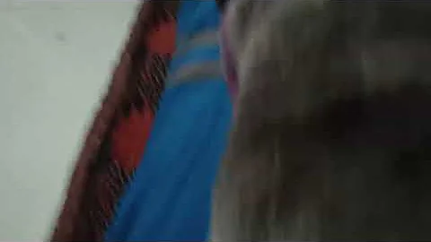 Portrait Video Nanny Canon EosR5 RF85F1.2L DS