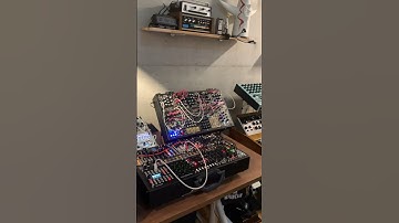 Modular synth collector