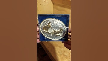 ✅out😳fancy shiny Montana silver cowboy belt buckle