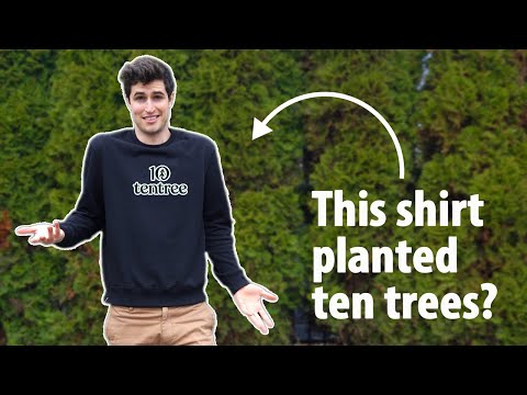 Video: Įsimylėk Naują „Tentree“kolekciją, Tada Pasodink Medį