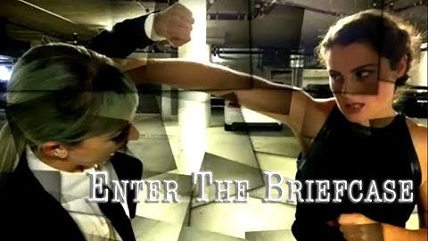 Enter The Briefcase (2014)