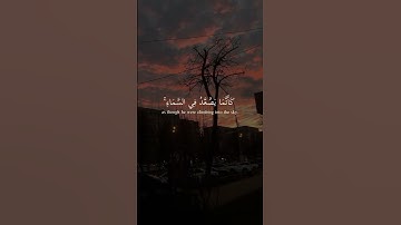 ماهر المعيقلي #ارح_سمعك #بر_الوالدين #الأم #الأب #رمضان #العيد #الحج #الصلاة #قرآن_كريم #تلاوة_خاشعة