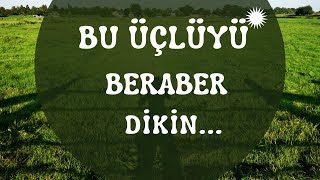 muhteşem üçlü...