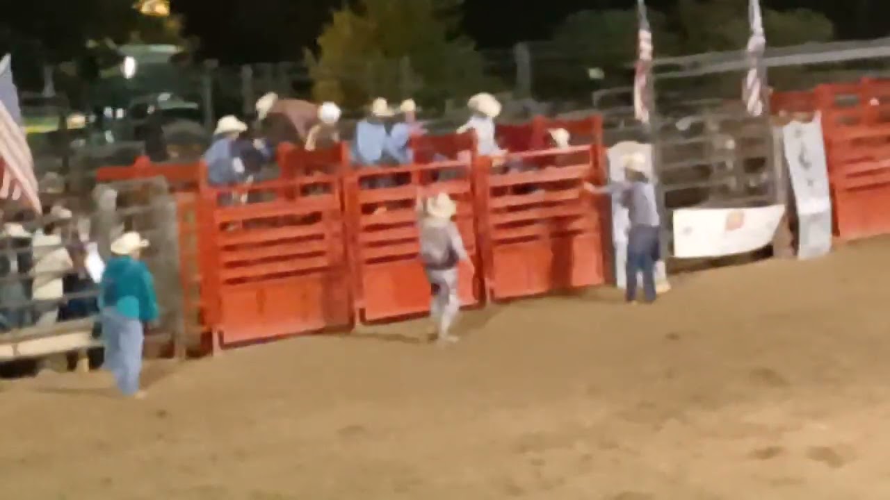 Bull Maina's 2nd round of Bull Riding 