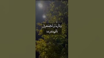 تلاوة سورة هود القارئ أحمد الشافعي #القارئ #قرآن #أحمد_الشافعي #سورة #تدبر #اكسبلور #لايك