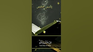 لو أنزلنا هذا القران على جبل تلاوة رائعة من سورة الحشر بصوت القارئ ياسر خضر