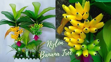 How to Make Banana Trees from Nylon Stocking || Tutorial Pohon Pisang dari Stoking