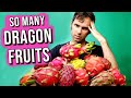 The king of dragon fruits  i ate 20 different dragonfruits to find the best one