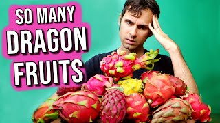 THE KING OF DRAGON FRUITS  I Ate 20 Different Dragonfruits to find the Best One!