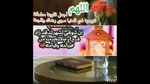 اللهم بلغنا صلاة التراويح ودعواتالمصلين ودموع الختشتين وتلاوة القرآن الكريم