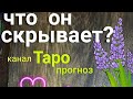 🤔⁉️ Что он скрывает? #shorts #таро #короткое видео YouTube shorts #shortstarot #shortsvideo