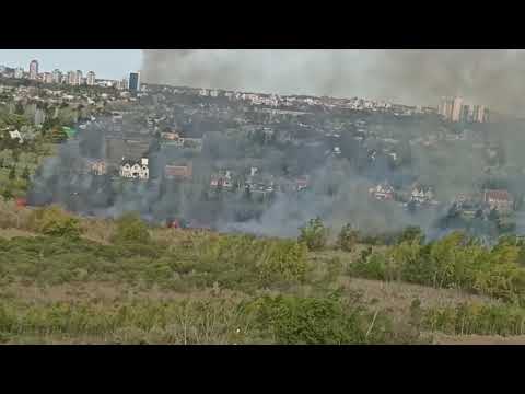Tigre: Incendio de pastizales junto al Camino de los Remeros
