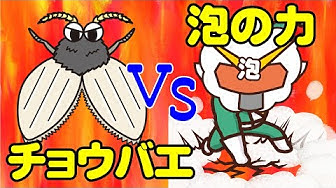コバエ退治 Youtube