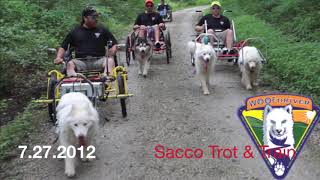 Before our Automated Cart | Husky Dog Adventure