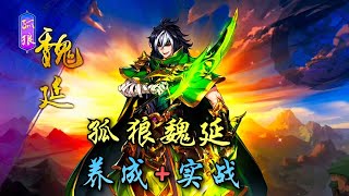 【少年三国志2／少年猛將傳】孤狼魏延养成、实战 screenshot 5