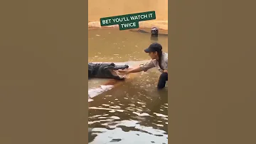 تمساح يعض يد مدربته 