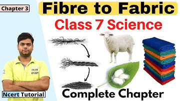 Fibre to Fabric : Class 7 science Chapter 3 [Full Chapter]