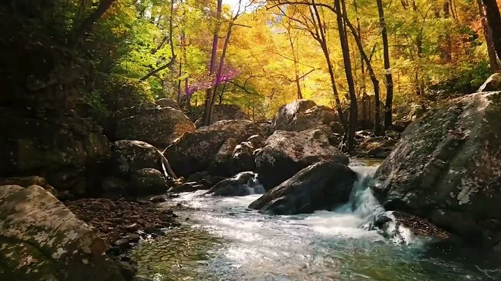 Beautiful Soft Instrumental Music | Water Sounds u...