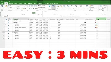 Create status indicators in Microsoft Project to identify late tasks - Very Easy |NiksProjects