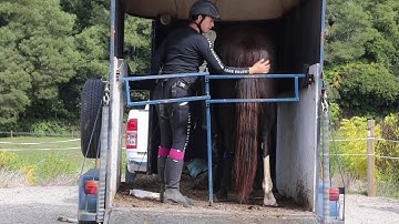 How to teach your Horse to Trailer/Float Load - doing up the bum bar