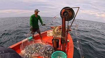 Lưới cá đục | giác lưới trúng toàn cá “ Ông căng “ | hoàng Phú quốc 