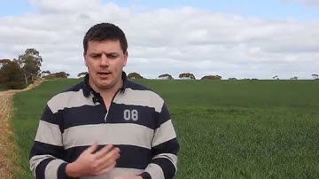 Using EM38 Mapping Soil Amelioration