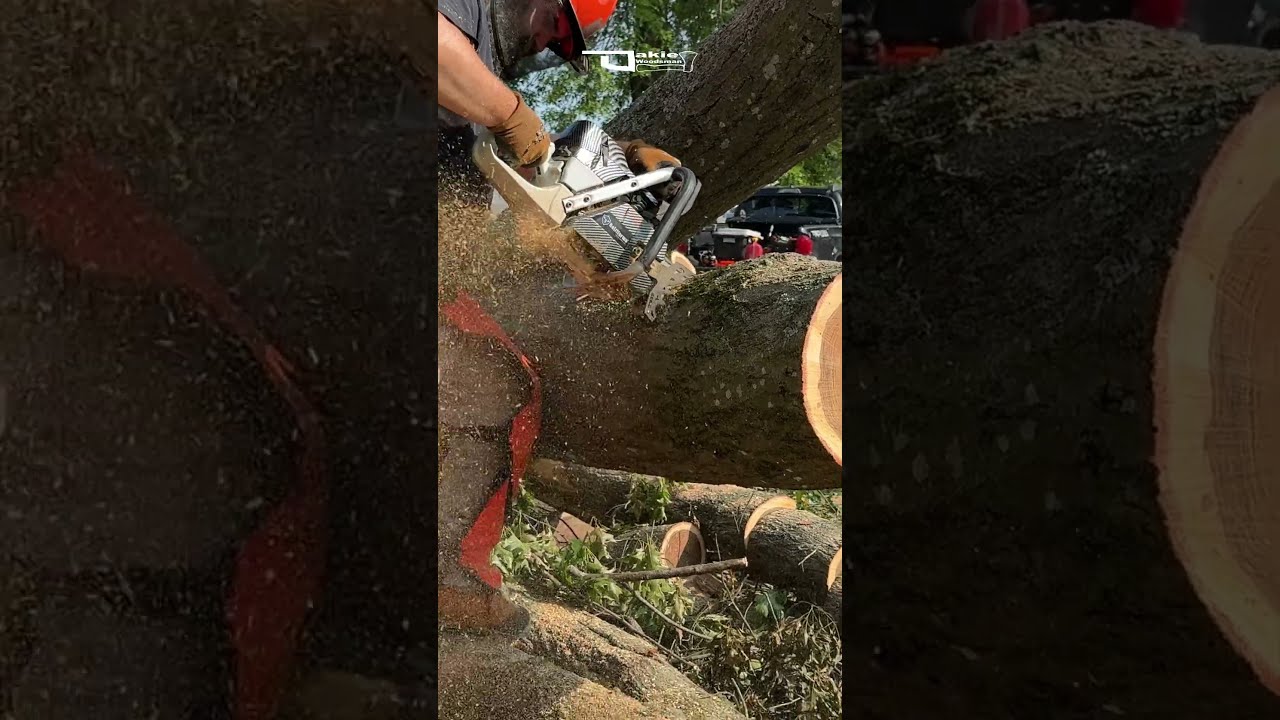 Satisfactory Chunk Work Chainsaw Firewood