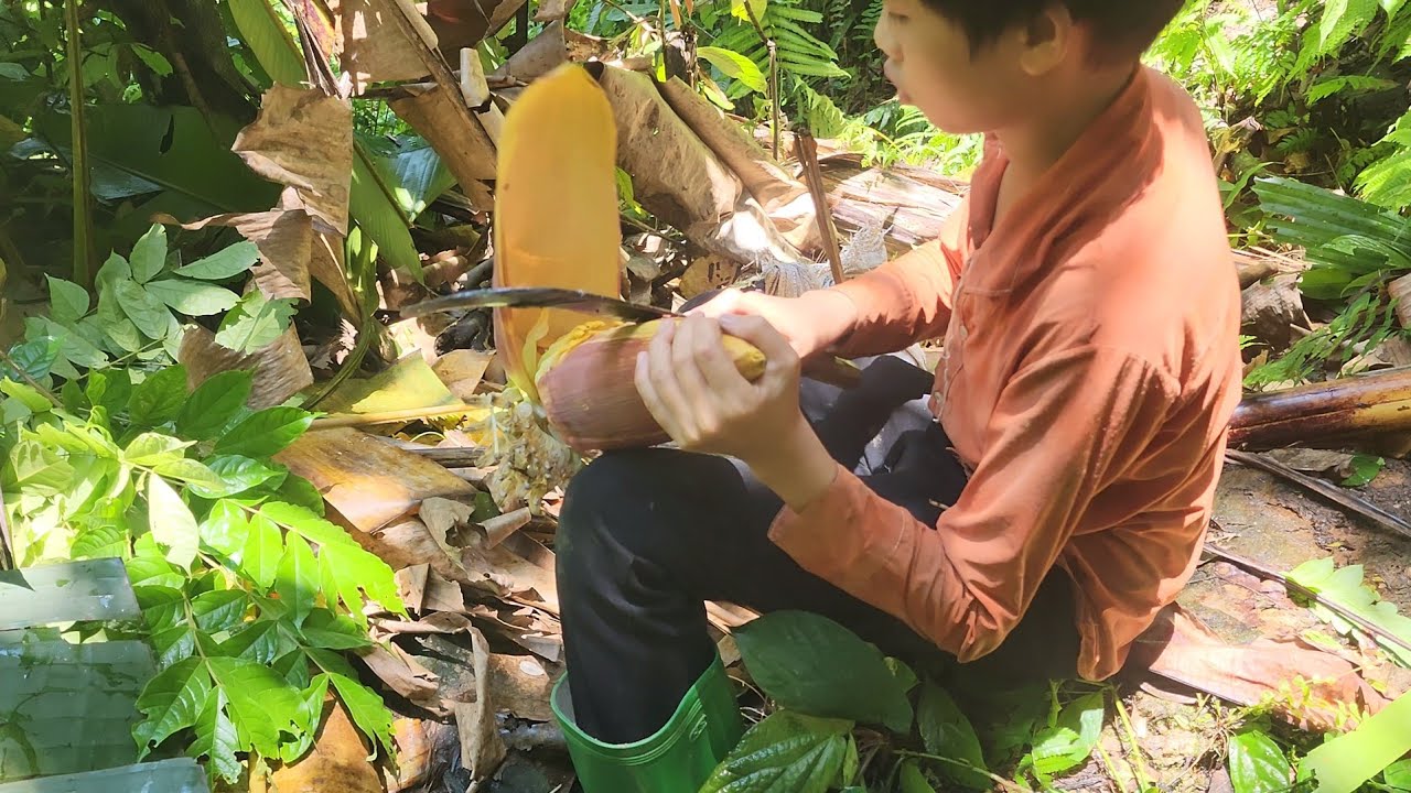 The homeless boy went into the forest and got bamboo shoots to sell ...