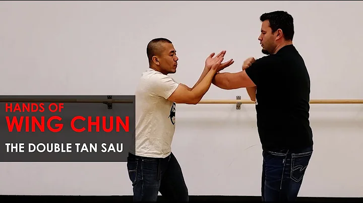 Training Tips -  The Double Tan Sau - Wing Chun, K...