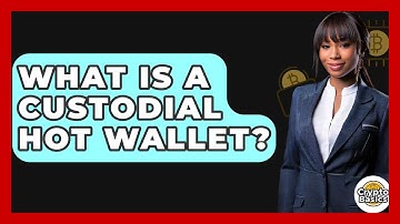 What Is A Custodial Hot Wallet? - CryptoBasics360.com
