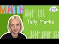 Understanding Tally Marks and Counting