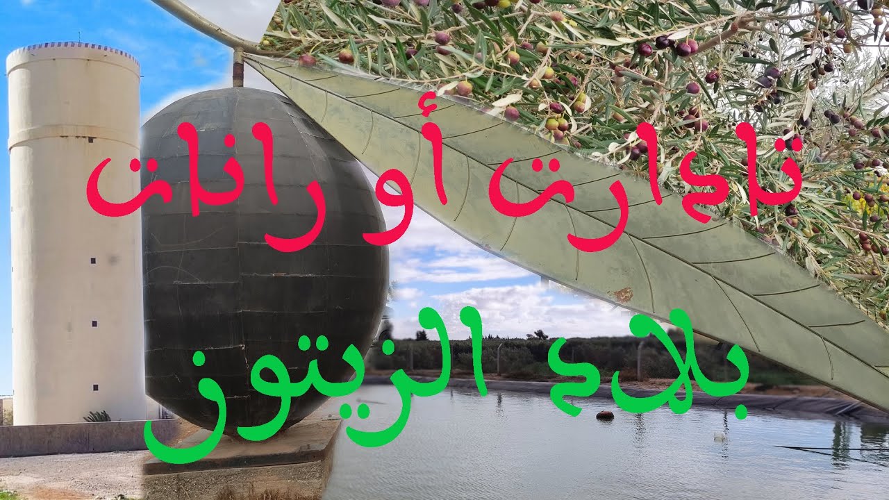 تادارت أو الرانات بلاد الزيتون، جرسيف..