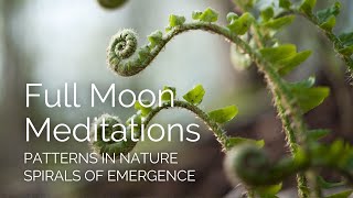 Full Moon Meditation: Spirals of Emergence (May 2025)