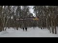 Лыжная трасса Волкуша 2023 12,5 км (с новыми петлями)