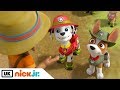 Paw Patrol | Pups Save Big Hairy | Nick Jr. UK