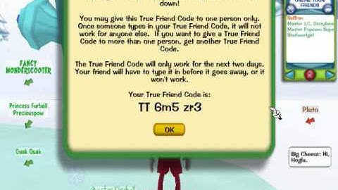 my toontown true friend codes