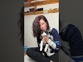 What’s the best harness to keep your cat from escaping #protectapet #catowner #walkies #cat #cats