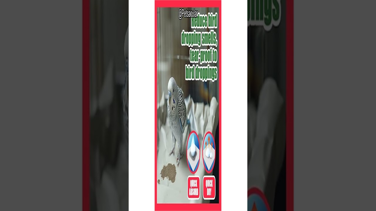 HASHI Bird Cage Liner Review: Is It Worth the Hype for Pet Owners & Eco-Conscious Consumers?