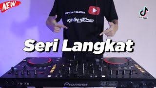 Download lagu Dj Seri Langkat Viral ! Palinglah Enak Simangga Udang, Amboi Remix Melayu Terbar mp3