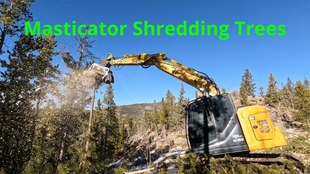 Part 3 Masticator Shredding Trees - YouTube