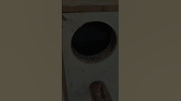 What a Parakeet Nest Box provides to baby parakeets and lovebirds? || A safe and cozy shelter #short