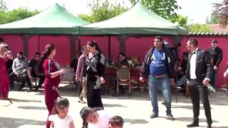 Formatia de Aur - Instrumentala - Nas DAN BURSUC - Nunta Vijelie din Bailesti (LIVE)