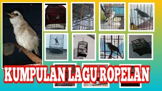 Kumpulan Suara lagu ropelan trucukan Part 1