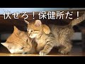 殿堂入りボケてがツッコミどころ満載すぎたwwww【ボケて】【まとめ51】