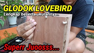 CARA MEMBUAT GLODOK LOVEBIRD BESERTA UKURANNYA ⁉️