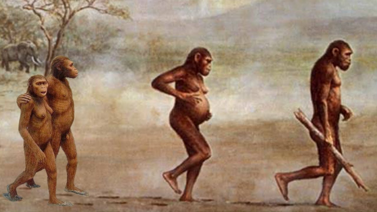 आदि मानव के प्रजातियों की उत्पत्ति व इतिहास | Human evolution in Hindi |आदिमानव का इतिहास #aadimanav