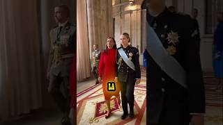 👑 What Would Happen If the King of Spain Couldn't Reign?