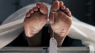 7 Unique Things To Do With Your Body When You Die