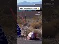 #satisfyingvideo #satisfying #funny #trump  Liberal Tried stealing Trump sign🤷