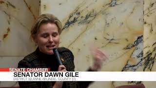 Senate Floor Session, 4/5/2024 #2